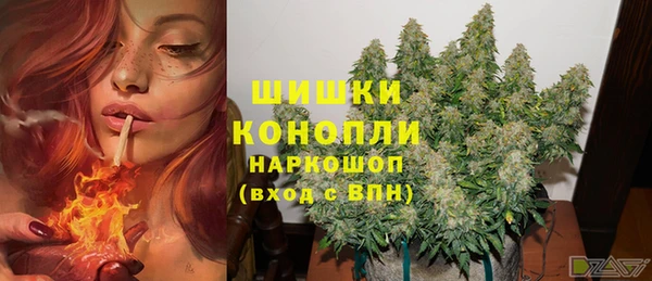 мдма Новозыбков