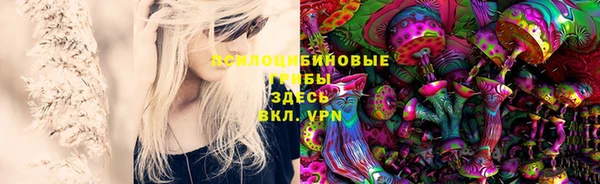 стаф Нефтекумск