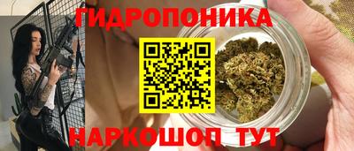 тгк Волгодонск