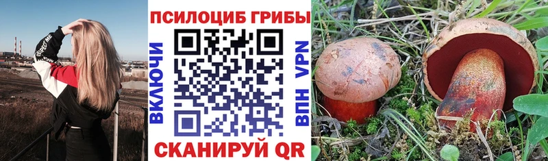 наркошоп  Ейск  Галлюциногенные грибы Psilocybe 