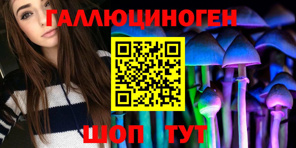 Галлюциногенные грибы Psilocybine cubensis Ейск