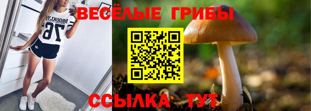 Гашиш  Марки  Метамфетамин  Ейск  МЕФ  Канабис  Как найти закладки?  Вход с VPN  COCAIN 