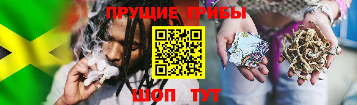 Галлюциногенные грибы Magic Shrooms  Вход с VPN  Ейск 